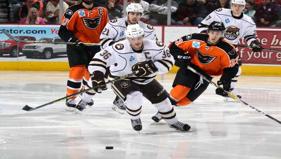 Hershey Bears